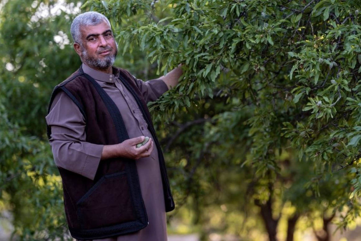 A man holding a fruit tree