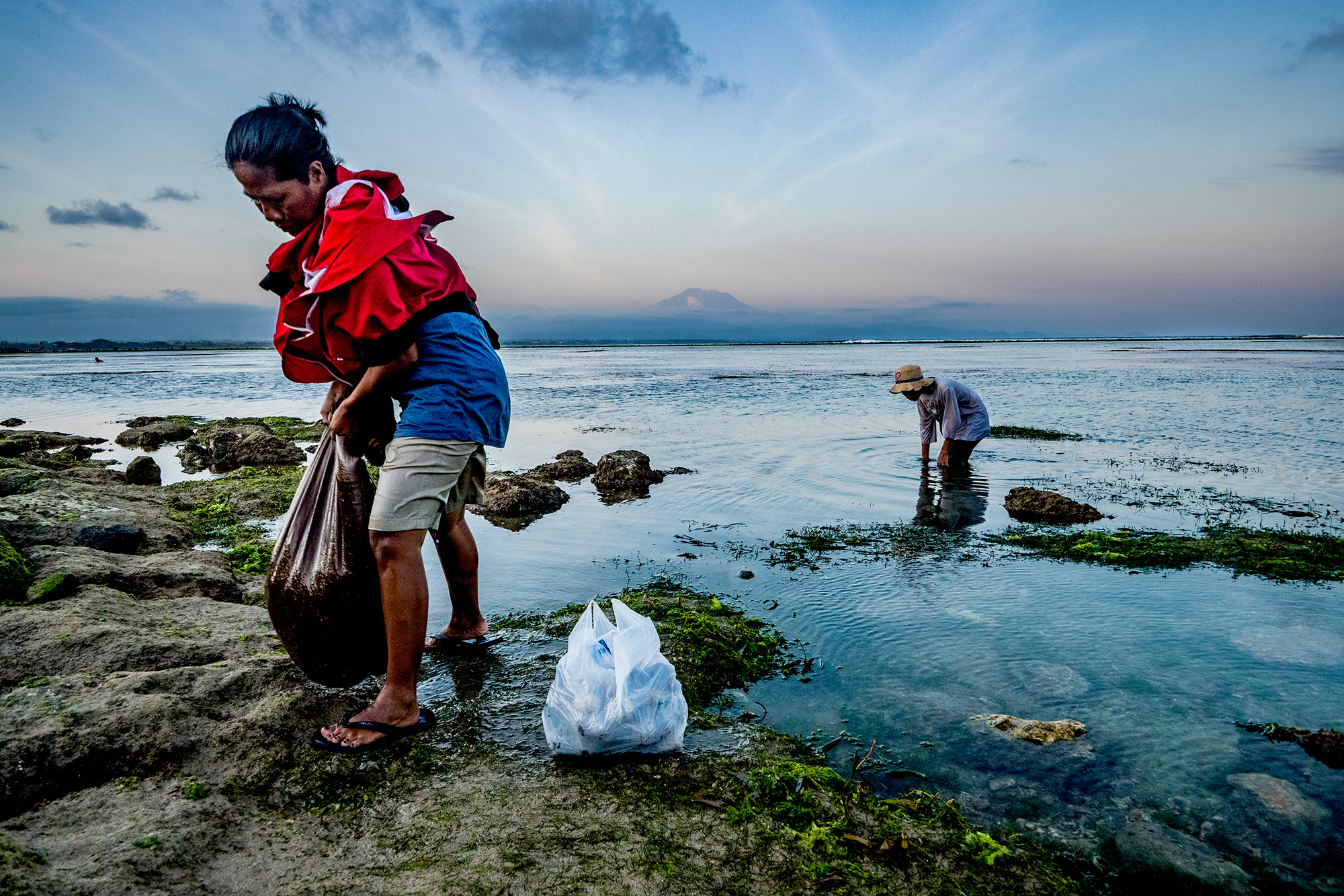 A mother and son gather sea urchins for their family at low tide in a seagrass meadow in Bali, Indonesia. 