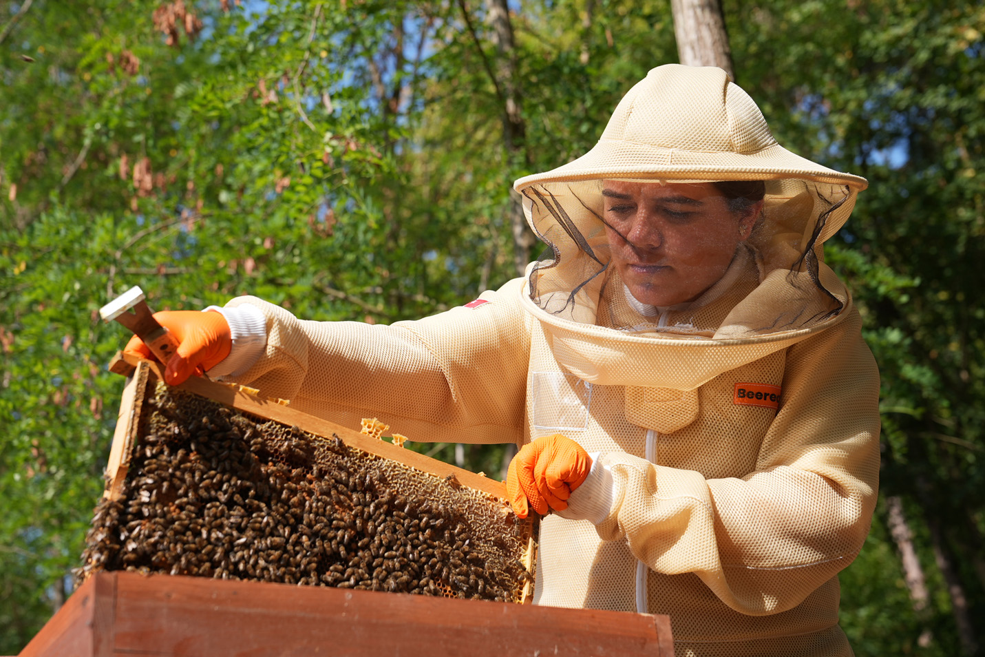 Nurcan attending to her beehive.
