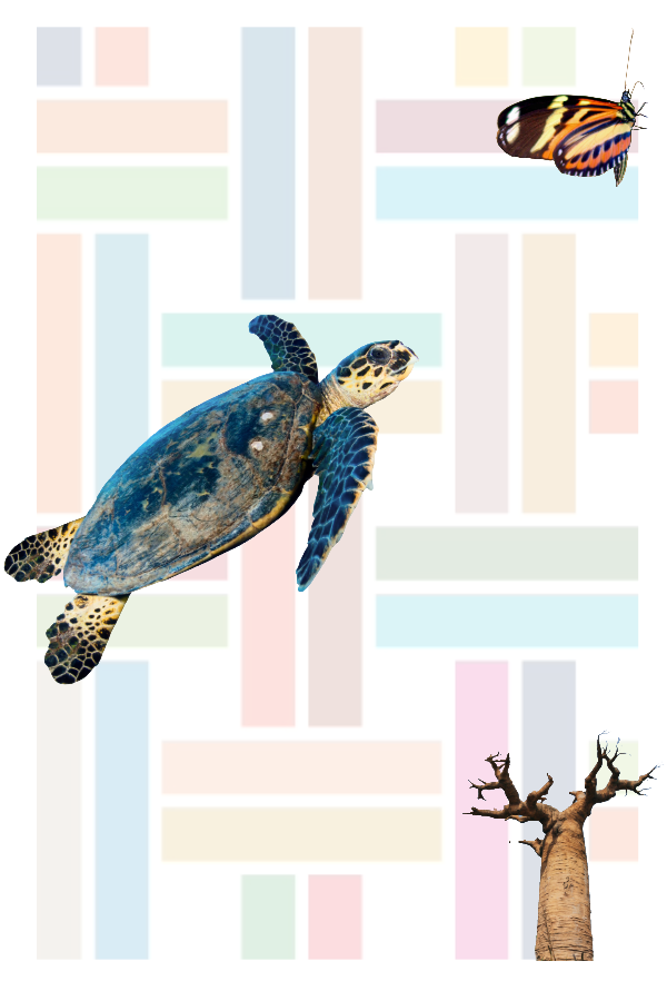 A mock newspaper front page from 2030 claiming blue whales were extinct