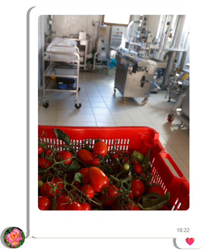 Rural women are key to Zero Hunger