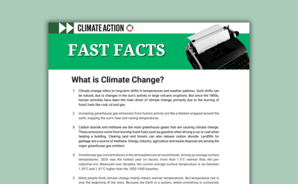 Fact sheet cover