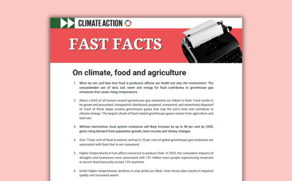 Fact sheet cover