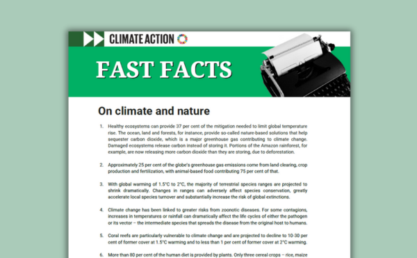 Fact sheet cover