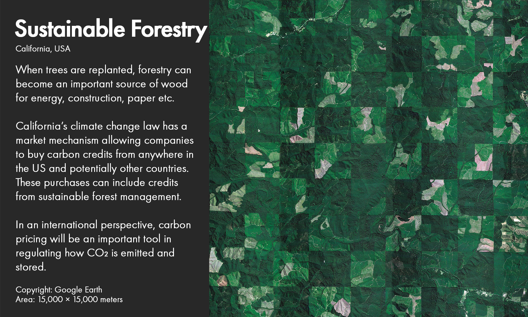 Forest, California, USA​