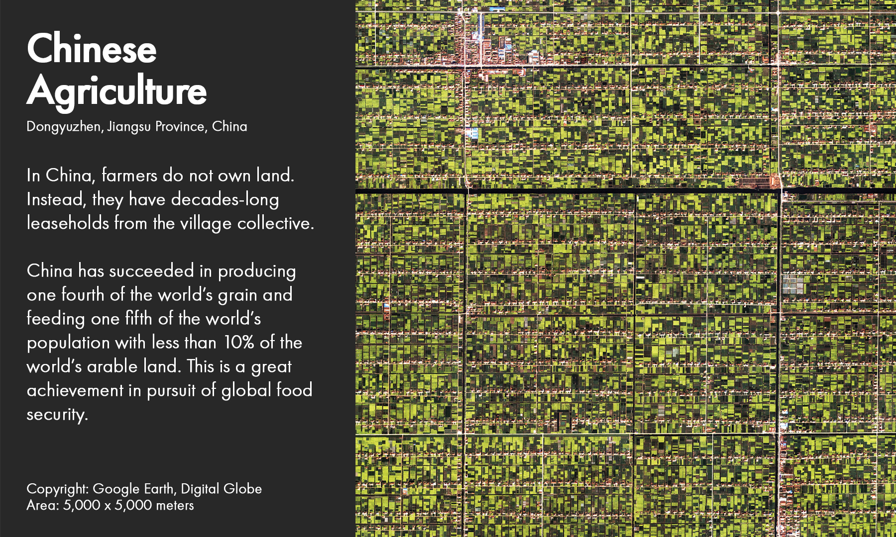 Dongyuzhen, Jiangsu Province, China​