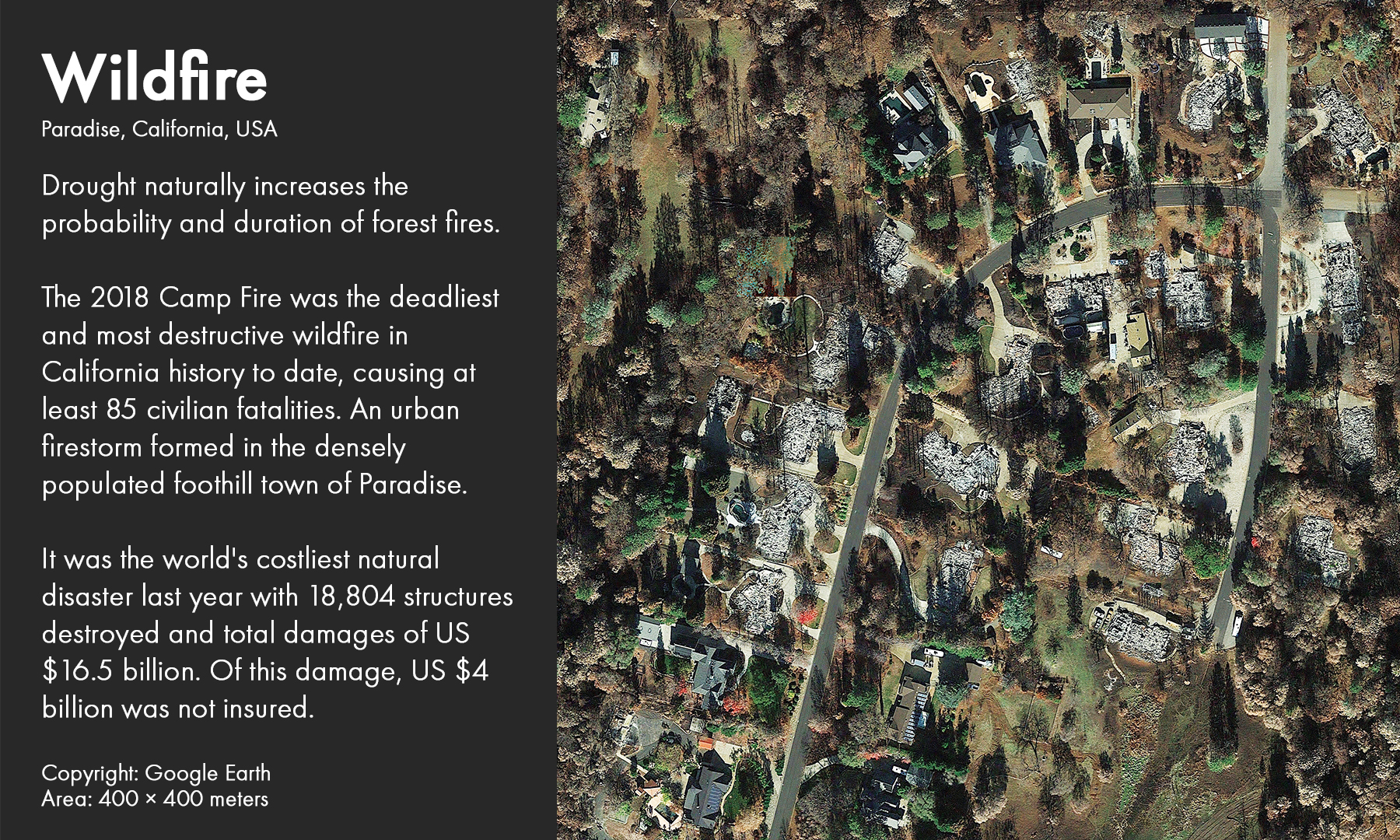 Wildfire, California 