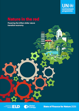 Report cover