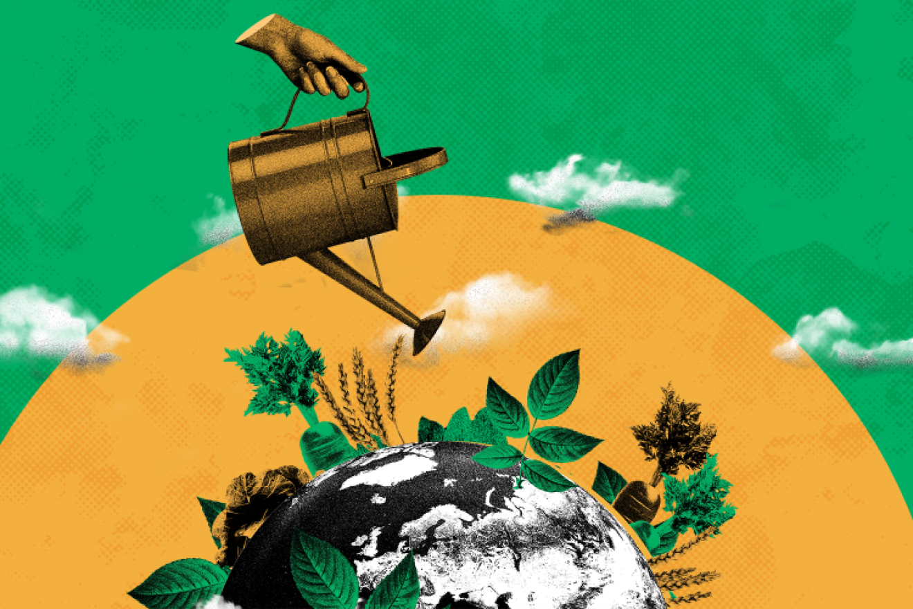 Illustration of people saving food