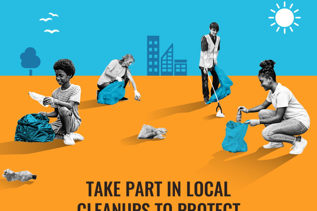 Illustration of people picking up trash