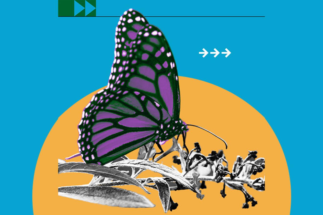 Illustration of a purple butterfly on a branch