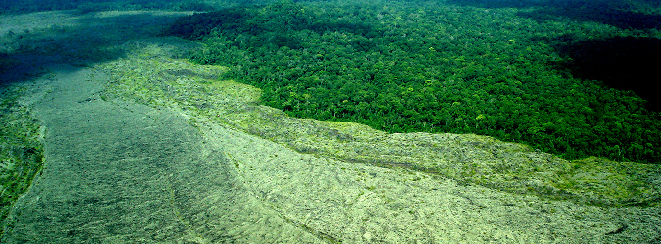 Landscape in the Democratic Republic of the Congo