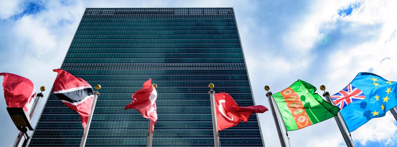 Vista del edificio de la Secretaría con las banderas de los Estados Miembros en primer plano, en la sede de las Naciones Unidas en Nueva York.