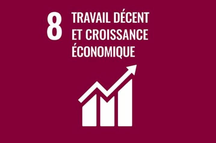 Lien vers le site des ODD Logo de l'ODD 8