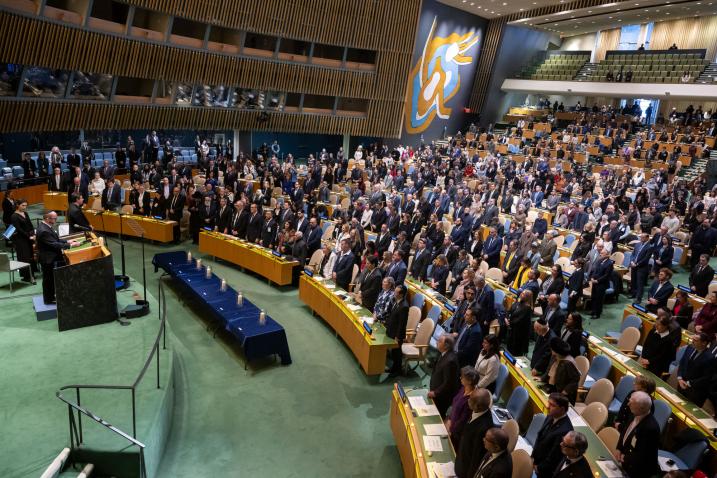 Member states and audience in an assembly hall. A group of member states and audience in an assembly hall.