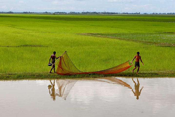 Two men with a fishing net on the shores of a wetland