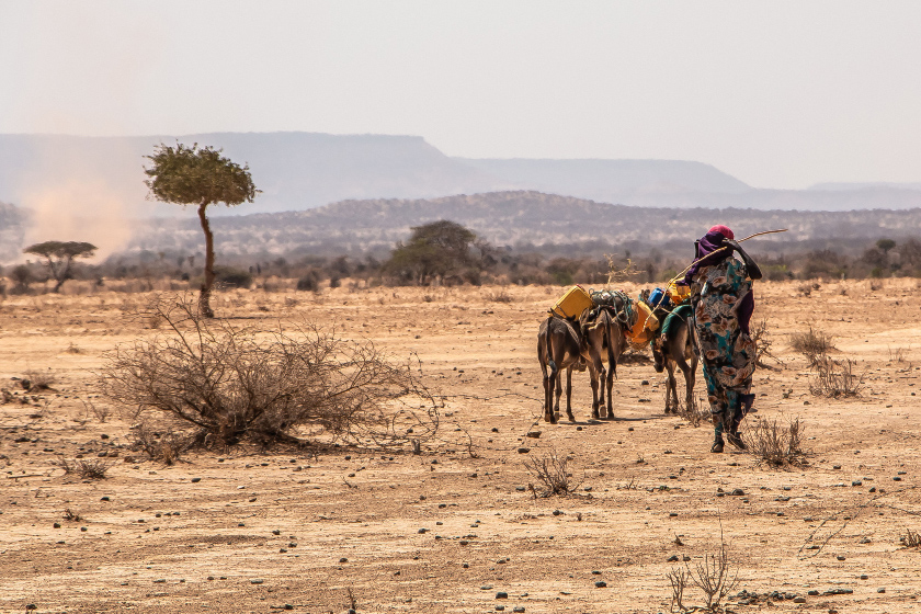 Climate-related disasters, like drought in Ethiopia, exposes women and girls to particular risks including gender-based violence. Photo: © UNFPA Ethiopia A woman waling through an arid desert.