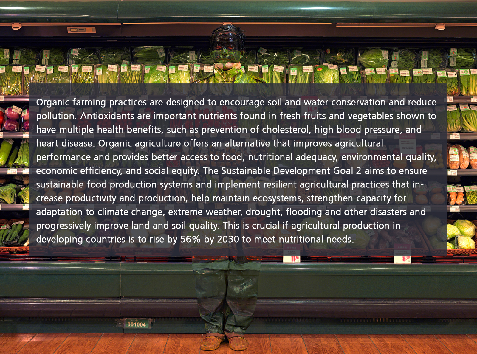 Hiding in the City | Vegetables | Liu Bolin (China)