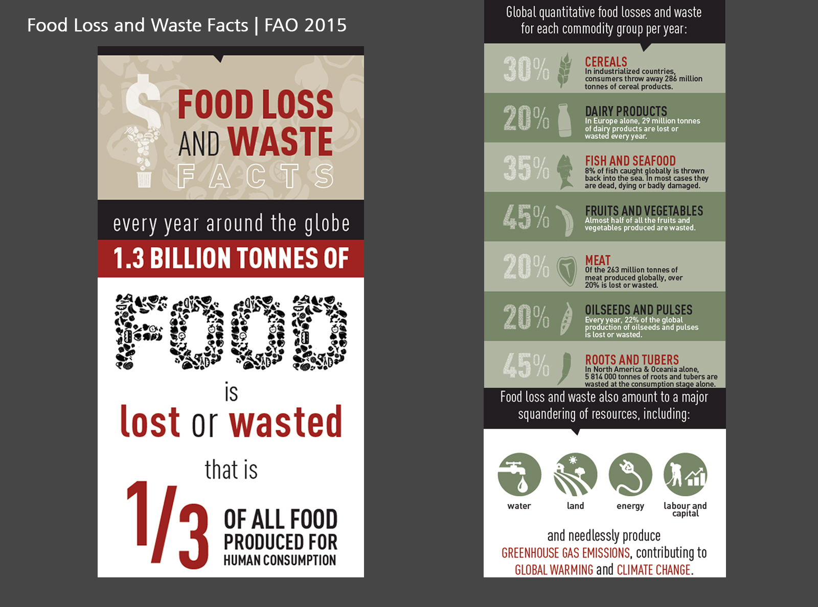 Food Loss and Waste Facts | FAO 2015