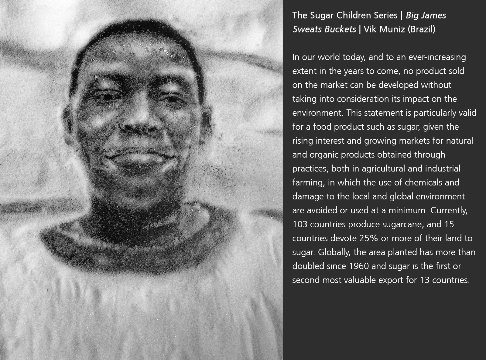 The Sugar Children Series | Big James Sweats Buckets | Vik Muniz (Brazil)