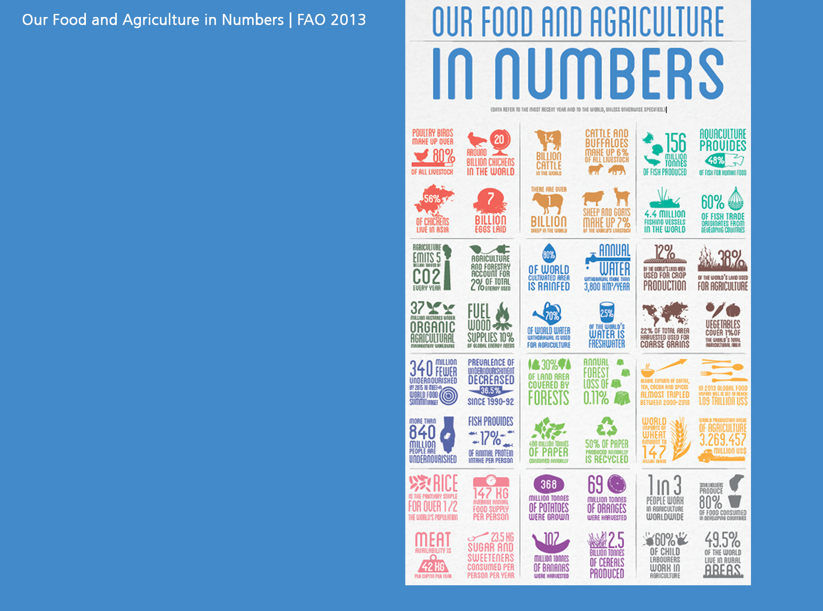 Our Food and Agriculture in Numbers | FAO 2013