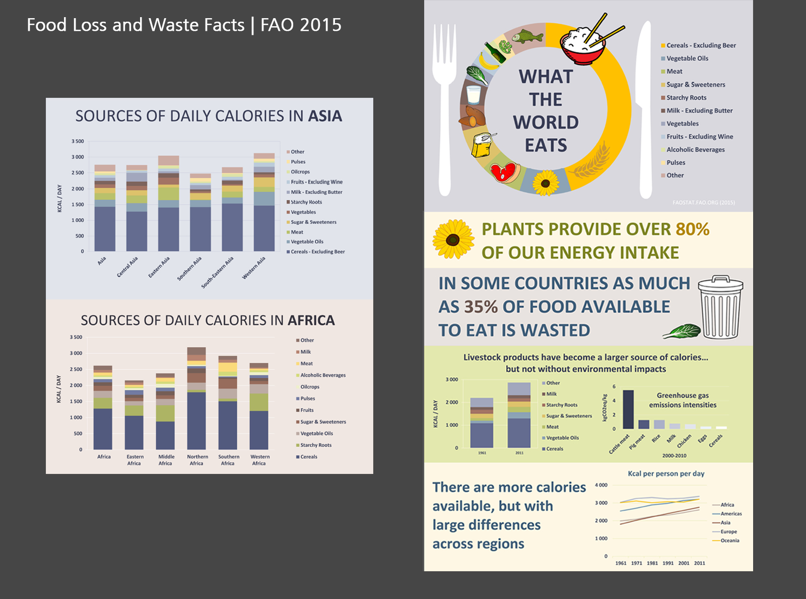 What the World Eats | FAO 2015