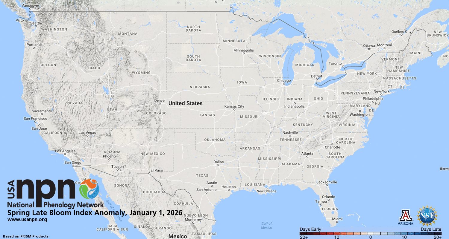 Spring Late Bloom Index