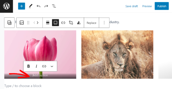 Add Caption to Gallery Images in WordPress Add caption for gallery images