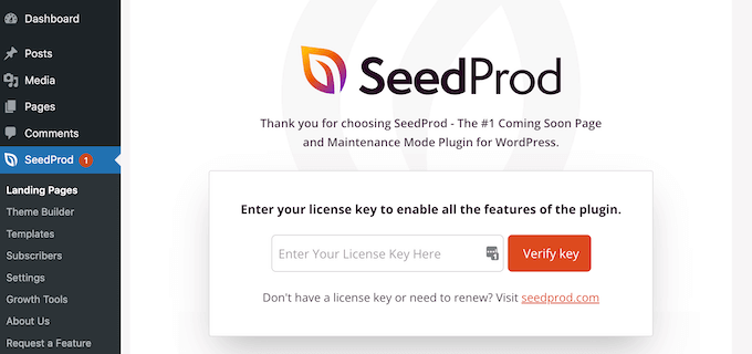 Adding the license key to SeedProd Adding the license key to SeedProd