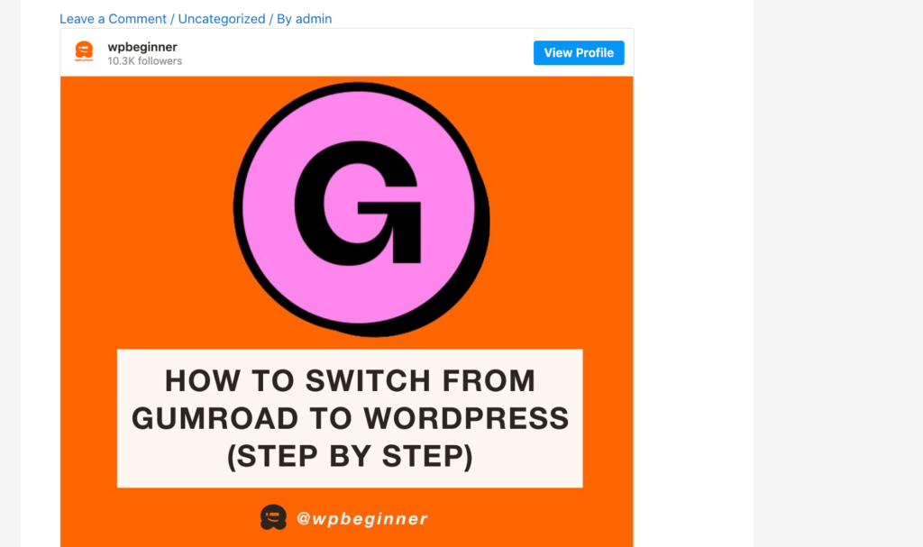 An example of an Instagram post in WordPress An example of an Instagram post in WordPress