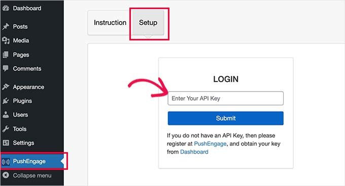 Yeni Başlayanlar İçin Rehber: En İyi WordPress Eklentisi Nasıl Seçilir? Paste API keys