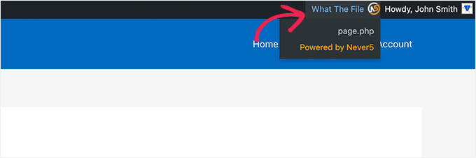 What the file menu