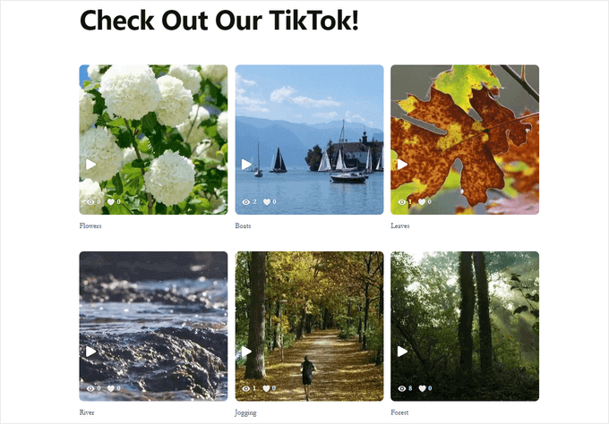 tiktok-feed-example TikTok Feed example