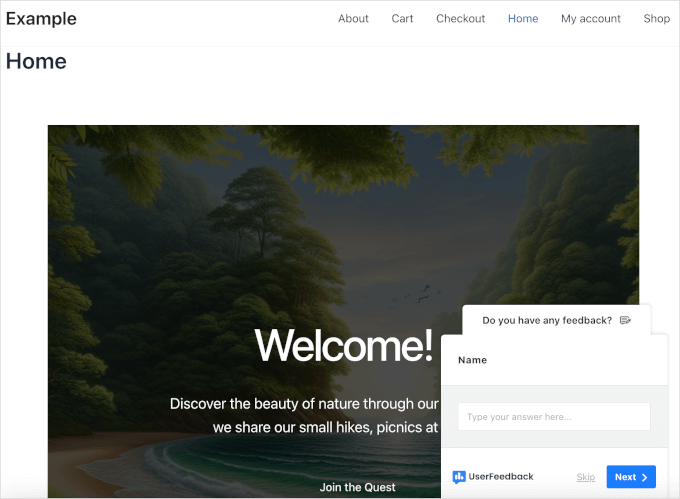 Thrive Apprentice plugin UserFeedback's floating contact form on a live website