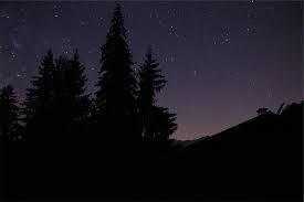 dark night