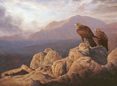 aguilas_reales.jpg