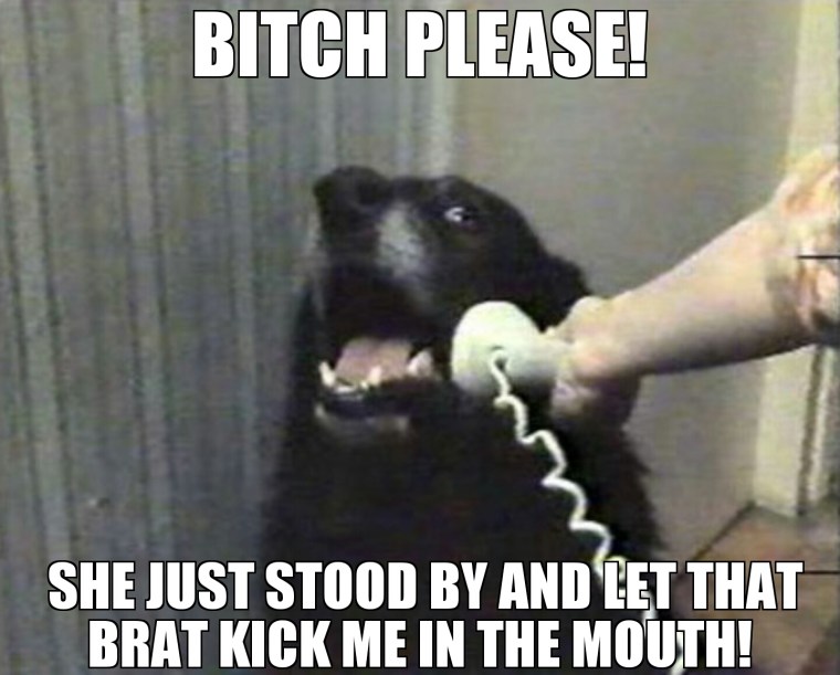 MEME2016-06-05-07-40-43.jpg image